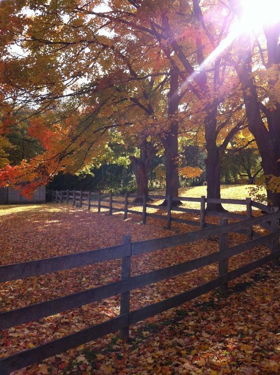 The Maples Bed And Breafast Angus Bagian luar foto