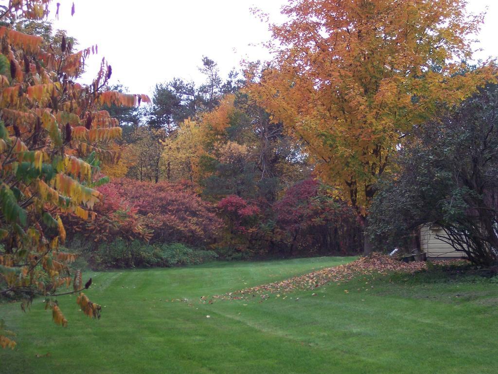 The Maples Bed And Breafast Angus Bagian luar foto